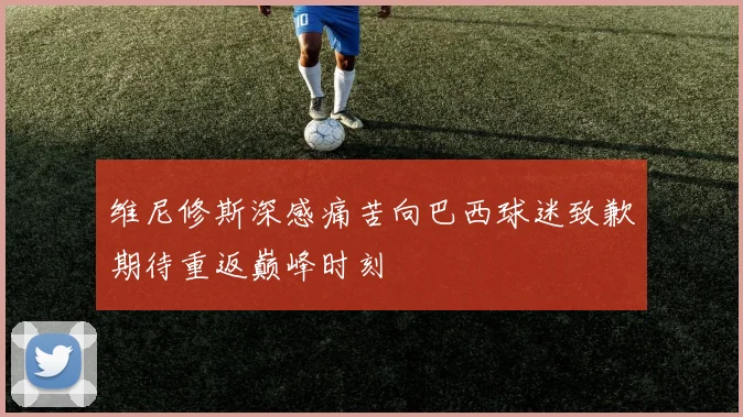 维尼修斯深感痛苦向巴西球迷致歉期待重返巅峰时刻