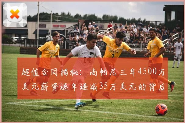 超值合同揭秘：尚帕尼三年4500万美元薪资逐年递减35万美元的背后故事